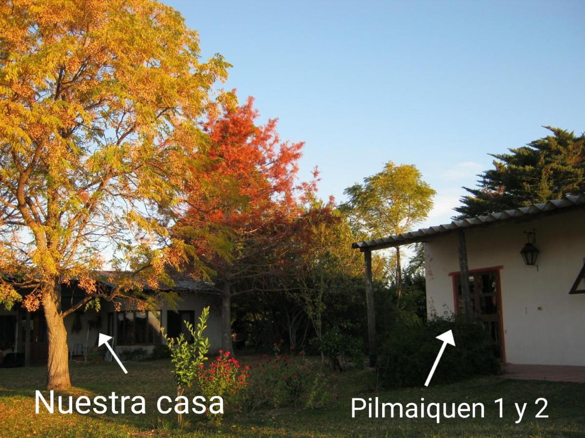 Pilmaiquen Villa Riachuelo Eksteriør billede