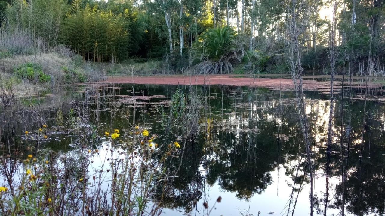 Pilmaiquen Villa Riachuelo Eksteriør billede